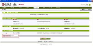 中國(guó)銀行網(wǎng)上支付用戶(hù)指南